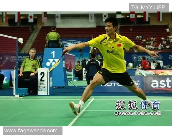 法国与秘鲁比赛分析及大小盘投注策略探讨